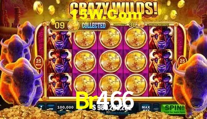 Suporte prioritário e eventos VIP